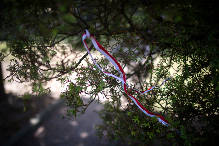 Uroczystości pogrzebowe Powstańców Warszawskich oraz cywilnych ofiar Powstania Warszawskiego, których szczątki zostały odnalezione na Czerniakowie – Warszawa, 4 sierpnia 2023. Fot. Sławek Kasper (IPN)