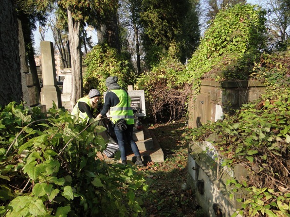 Sprzątanie Cmentarza Łyczakowskiego